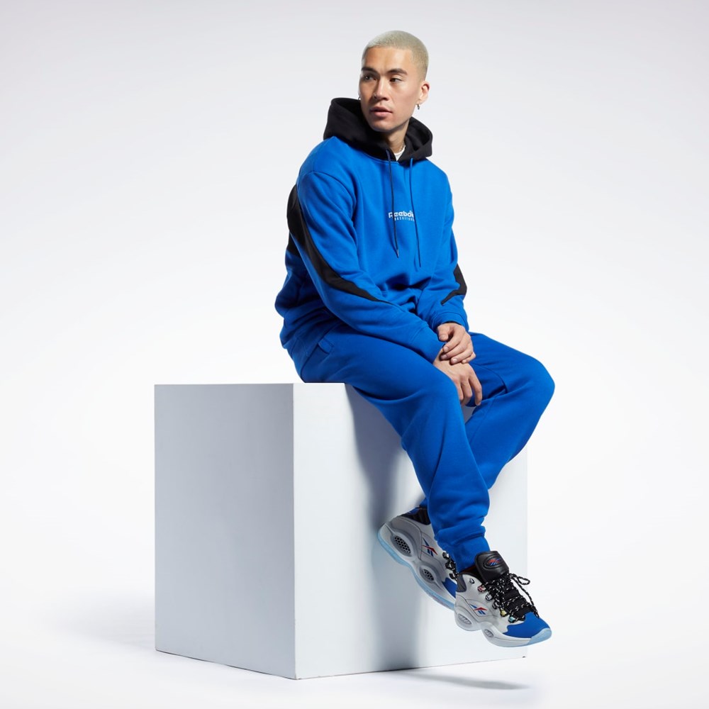 Reebok Basketball Back Vector Fleece Hoodie Blå | IWGSC-2483