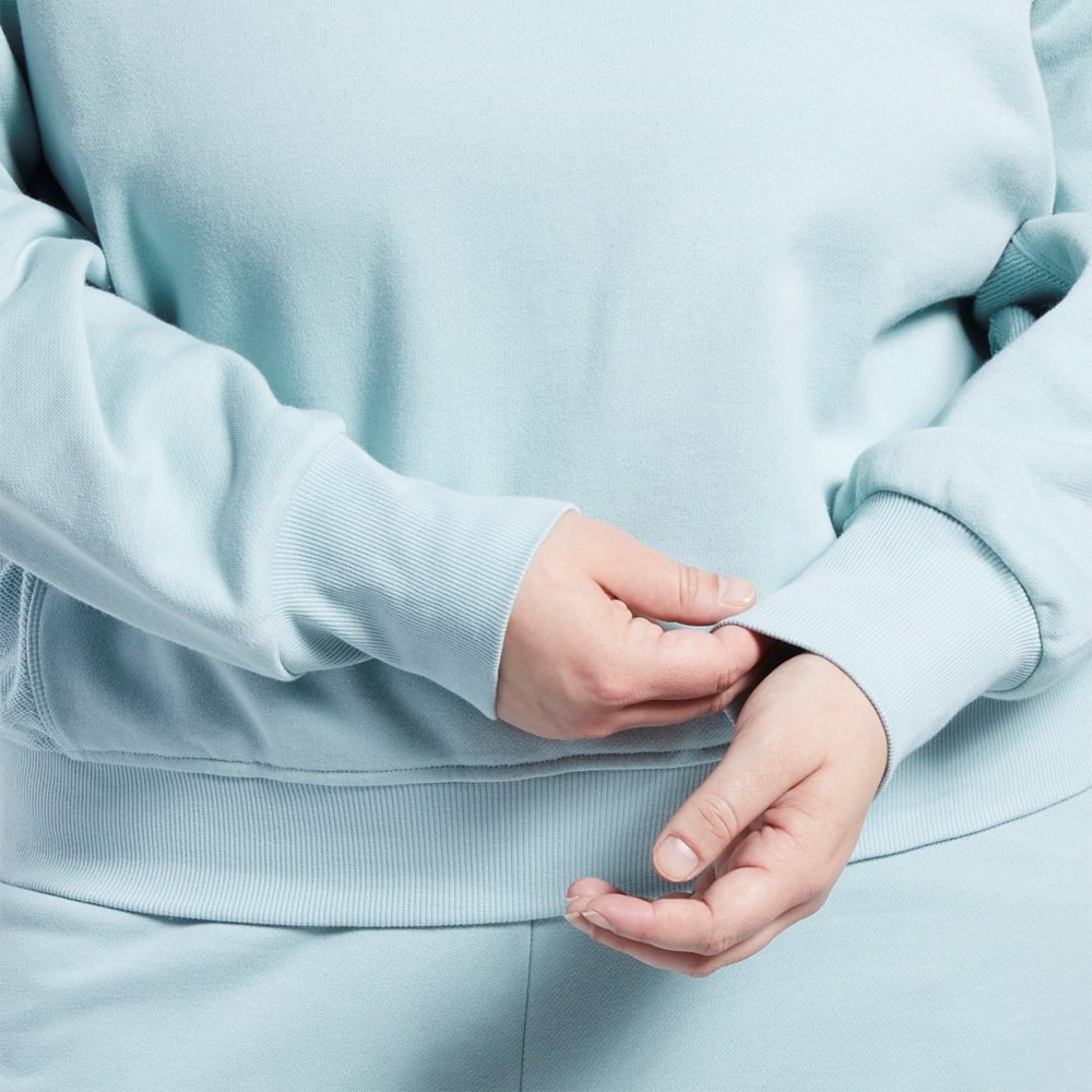 Reebok Classics Bomull French Terry Sweatshirt (Plus Size) Grå | OZBTL-3401