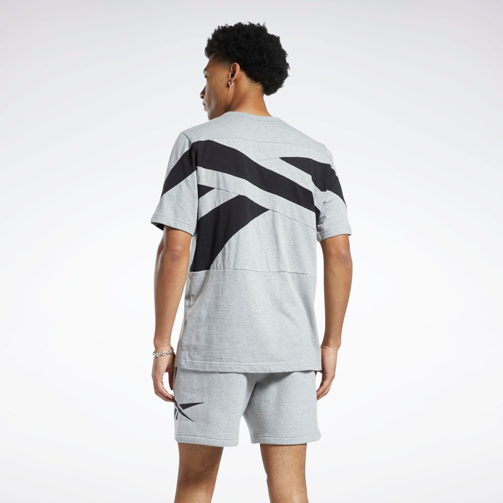 Reebok Classics Brand Proud T-Shirt Grå | AOJFZ-6307