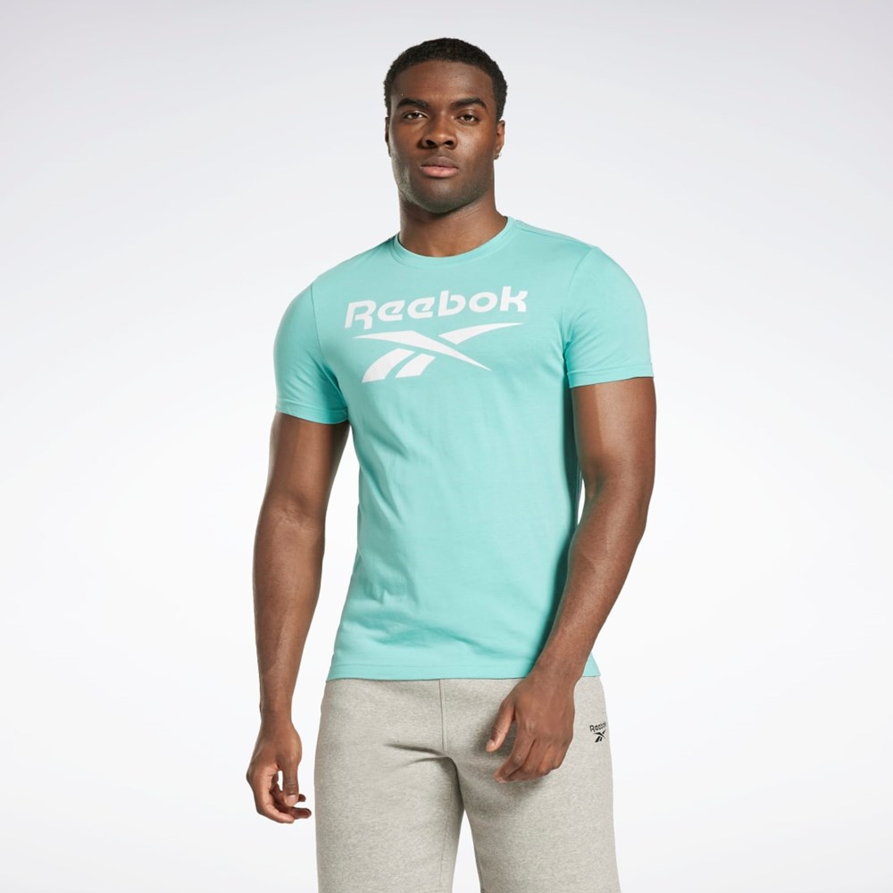Reebok Reebok Identity Big Logo T-Shirt Semi Classic Teal | UPMKG-2598