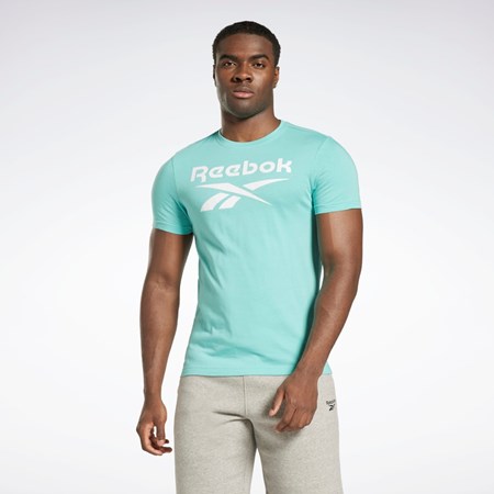 Reebok Reebok Identity Big Logo T-Shirt Semi Classic Teal | UPMKG-2598