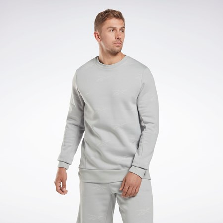 Reebok Reebok Identity Vector Fleece Crew Sweatshirt Grå | GPCBS-8945